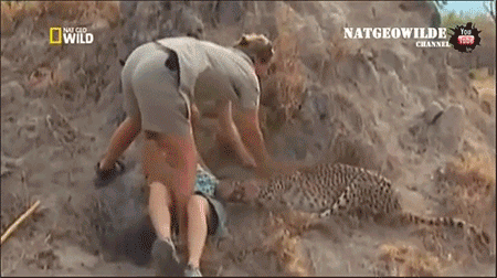 치타 때리는 여성.gif | 인스티즈