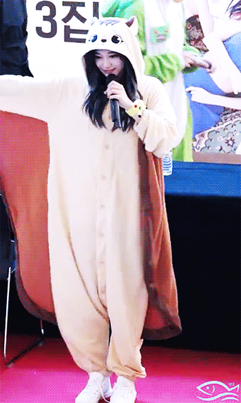 [트와이스] 오늘 팬싸에서 다람쥐라는단어 배운 쯔위 | 인스티즈