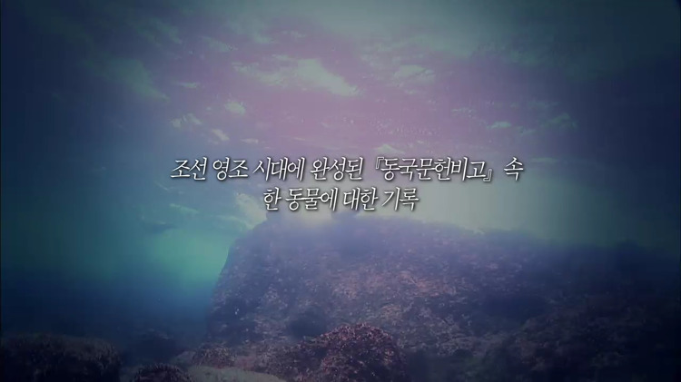 일본의 뻔뻔함 | 인스티즈