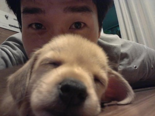 반려동물 사지 않고 입양한 연예인들.jpg | 인스티즈