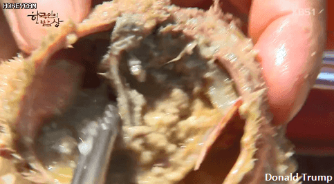 한국인의 밥상 - 왕밤송이게된장찌개.JPG | 인스티즈