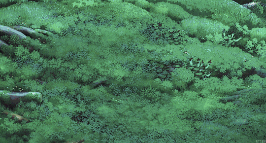 사람들이 많이 뽑는 지브리 스튜디오 명작 5선 | 인스티즈