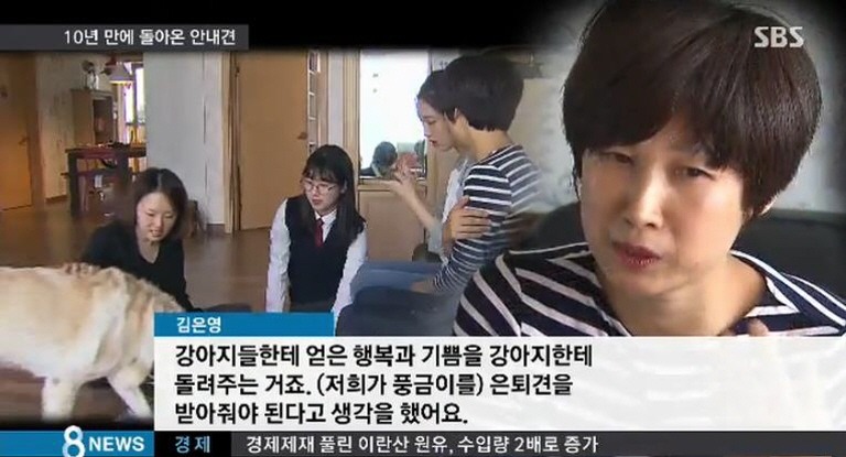 한국.. 10년간 맹인 안내견으로 살아오다 은퇴한 풍금이.. | 인스티즈