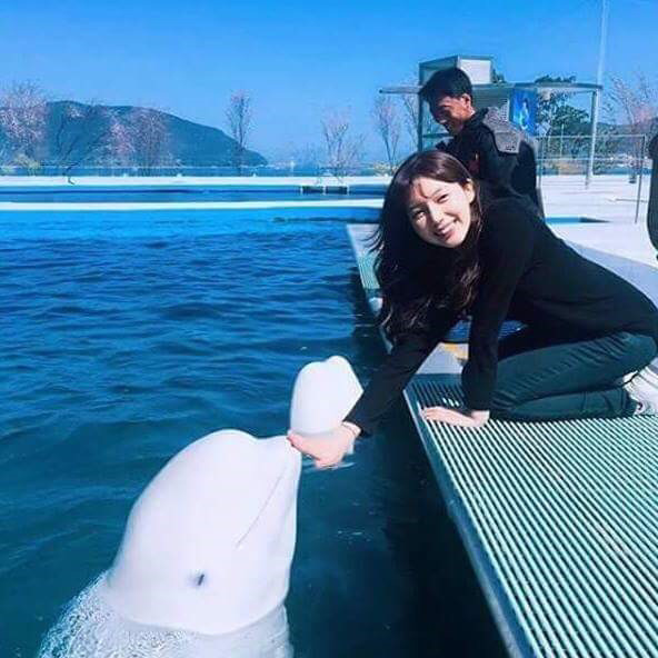 돌고래의 사람차별 .JPG(feat. 사육사아저씨) | 인스티즈