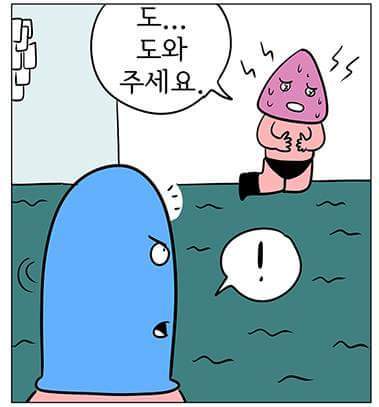양비론자 | 인스티즈