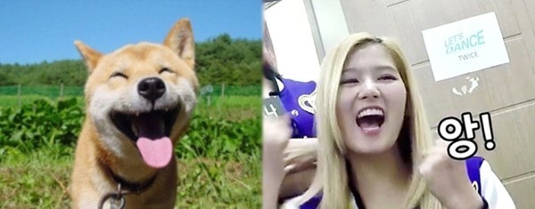 트와이스 사나 | 인스티즈