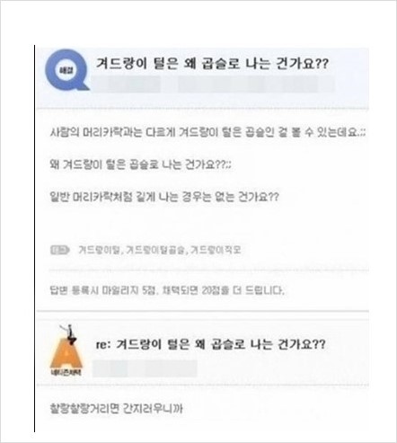 인터넷 레전드 댓글&답변들 모음.jpg | 인스티즈