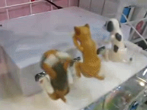 발표할때 주목 받을 수 있는 USB | 인스티즈