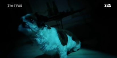 그것이알고싶다 비극의상견례 3편 | 인스티즈