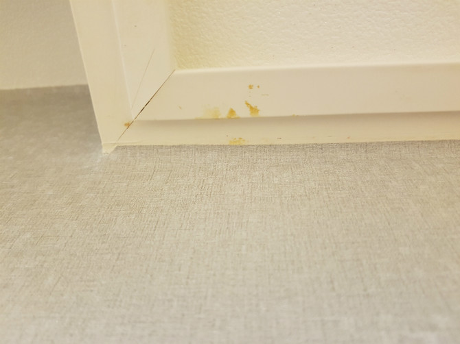 입주청소업체의 만행 | 인스티즈