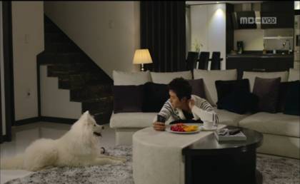 대형견을 키우는 연예인들 | 인스티즈