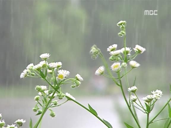 [거침없이하이킥] 윤호의 짝사랑 이야기 - 12 (完) | 인스티즈