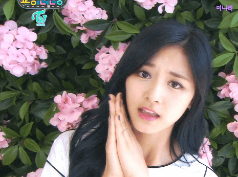 [트와이스] 갈수록 더더욱 이뻐지는 쯔위 움짤들.gif | 인스티즈