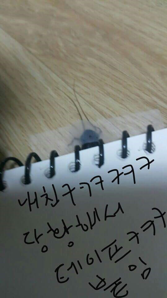 시룸) 바퀴벌레 잡는법 | 인스티즈