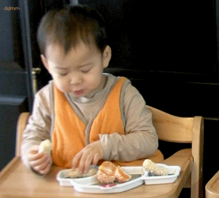 걸어다니는 애교주머니 민국이 모음 (데이터주의!) | 인스티즈