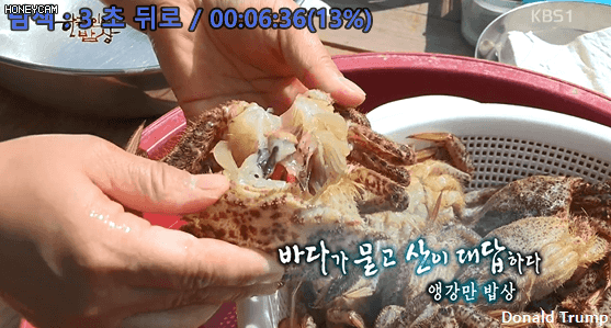 한국인의 밥상 - 왕밤송이게된장찌개.JPG | 인스티즈