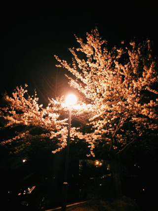 시 구절 같은 좋은 노래 가사들 jpg | 인스티즈