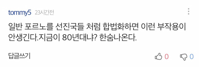 소라넷 부활 기사 다음 댓글.jpg +추가 | 인스티즈