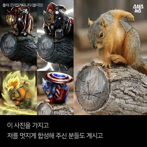 청설모 착지의 진실 | 인스티즈