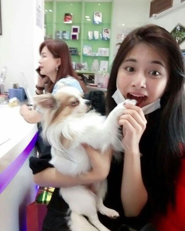 트와이스) 쯔위 대만 강아지 구찌 | 인스티즈