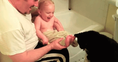 아기와 고양이.gif | 인스티즈