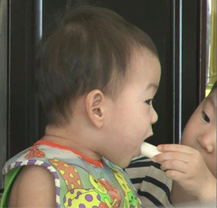 걸어다니는 애교주머니 민국이 모음 (데이터주의!) | 인스티즈