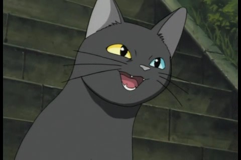 학교괴담 요괴 TOP5 | 인스티즈