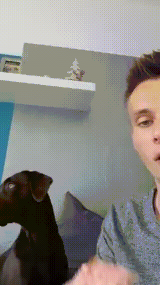 형이랑 싸웠는데 형이 혼자 피자를 시켜먹는다 | 인스티즈