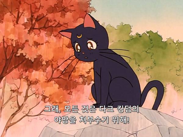 미소녀 전사 세일러문 (美少女&#25126;士セ&#12540;ラ&#12540;ム&#12540;ン) 36 | 인스티즈