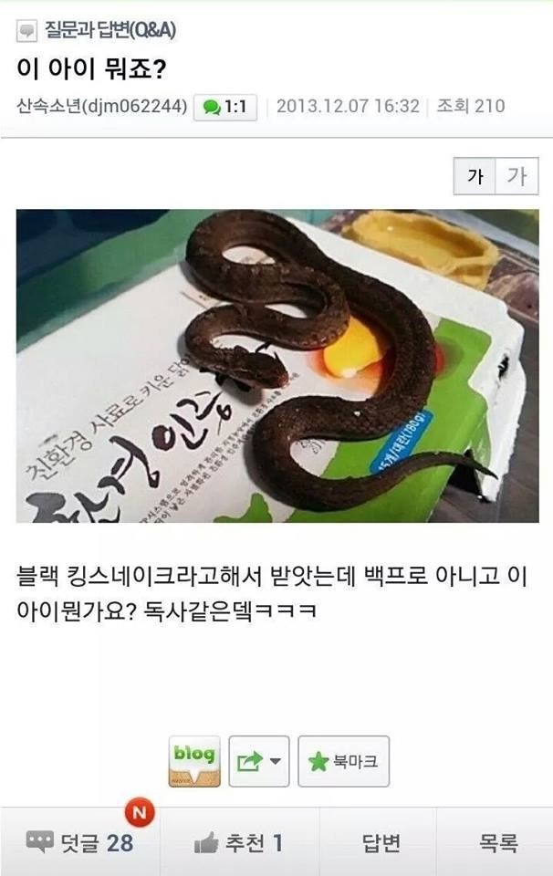중고나라의 매우 위험한 물품거래.jpg (뱀주의) | 인스티즈