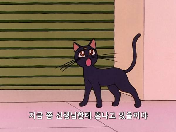 미소녀 전사 세일러문 (美少女戦士セーラームーン) 03 | 인스티즈