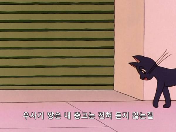 미소녀 전사 세일러문 (美少女戦士セーラームーン) 03 | 인스티즈