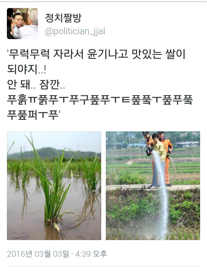 내 사위가 누구인가!!!! 뽕쟁이!!!! (feat.정치짤방) | 인스티즈