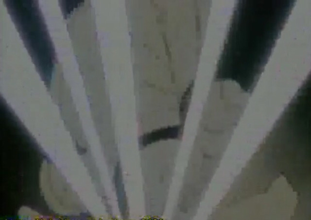 포켓몬스터) 넘나 슬픈 지우와 버터플 이별하는거 캡쳐ㅠㅠ | 인스티즈