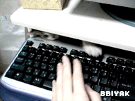 사람과 동물들 (움짤 다수) | 인스티즈