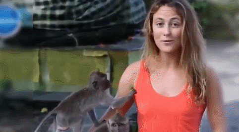 동물들도 좋아하는 여자 가슴.gif | 인스티즈