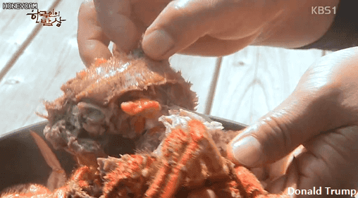 한국인의 밥상 - 왕밤송이게된장찌개.JPG | 인스티즈