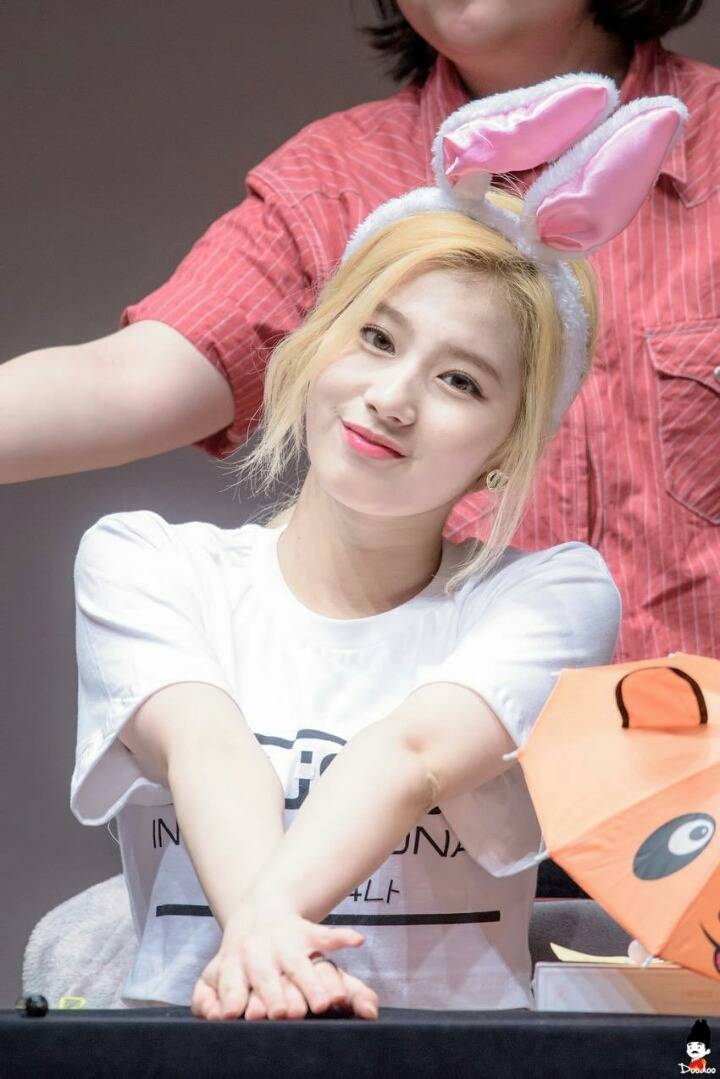 트와이스 사나 | 인스티즈