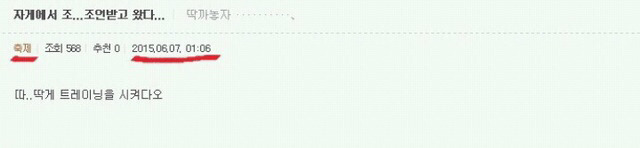 도린이들을 위한 딱게 사용법 | 인스티즈