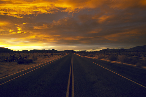  미국 남자들의 로망.jpg | 인스티즈