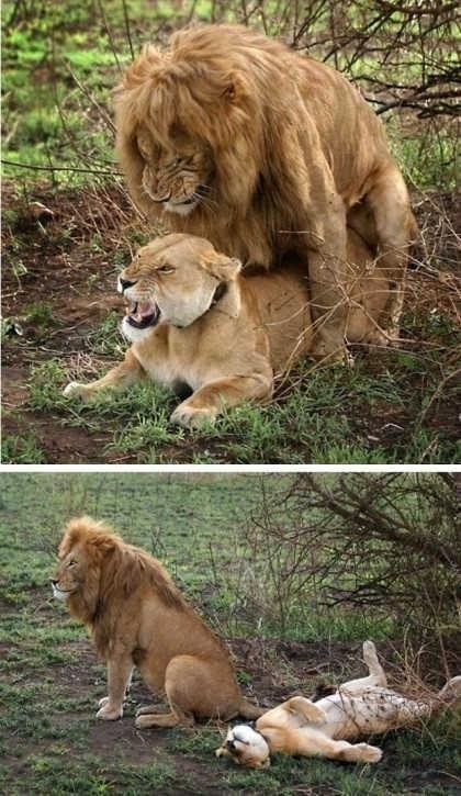 상남자 왕중왕전 jpg | 인스티즈