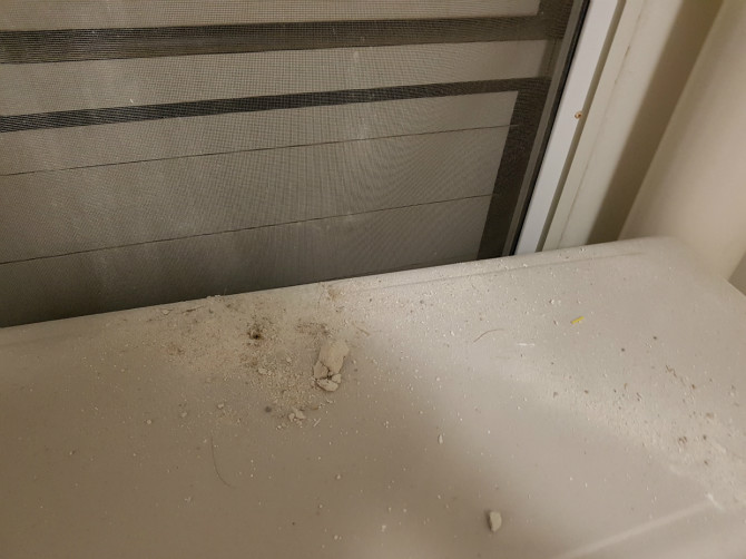 입주청소업체의 만행 | 인스티즈