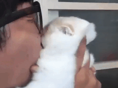 강제로 키스당하는...jpg | 인스티즈