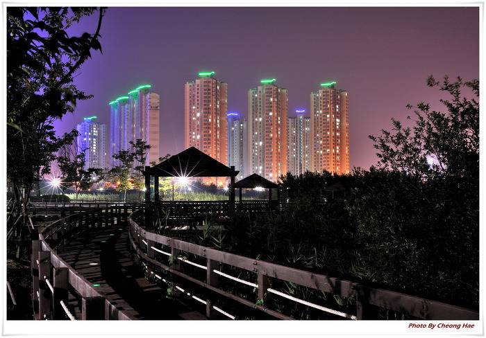 우리나라의 예쁜 아파트야경 모음 | 인스티즈