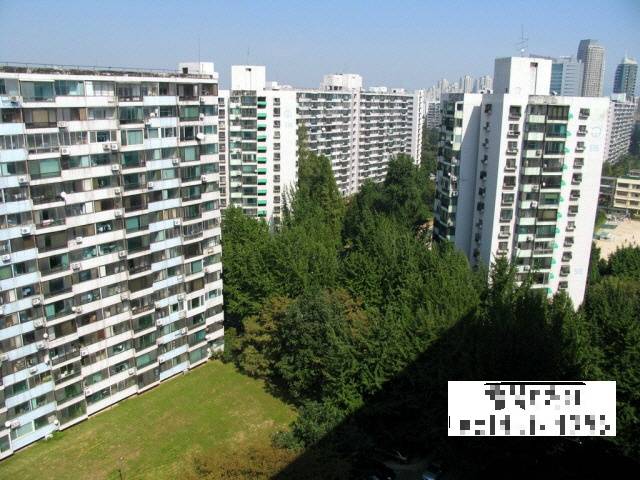 강남 재건축의 상징 은마아파트 vs 잠실주공5단지 의 미래는? | 인스티즈