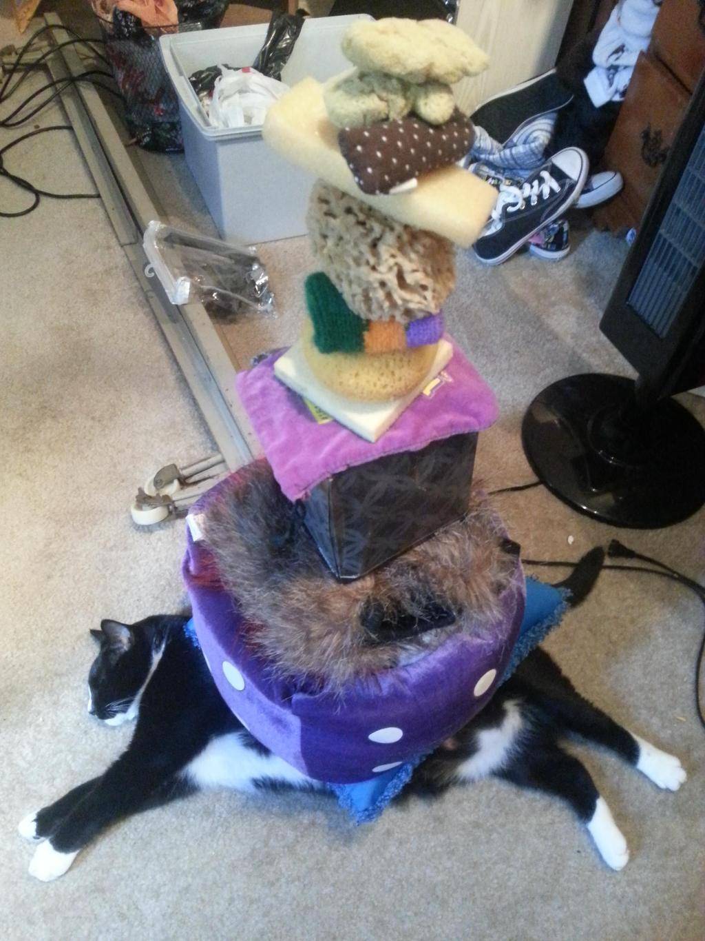 보자보자 하니까 주인 ㅆ바넘이 | 인스티즈