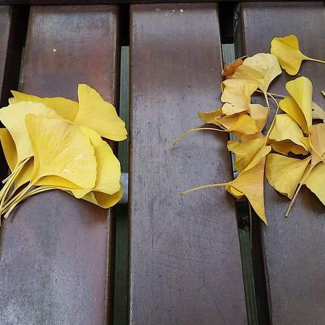 [슈퍼맨이돌아왔다] 훈녀 돋는 이서언 취향들ㅋㅋㅋㅋㅋ.JPG | 인스티즈