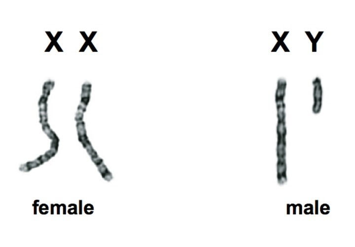 xy-jpg-instiz
