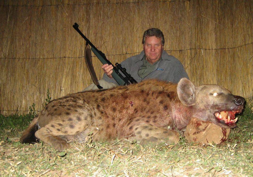 아프리카 대륙에서 고기만 먹고 사는 놈들 | 인스티즈