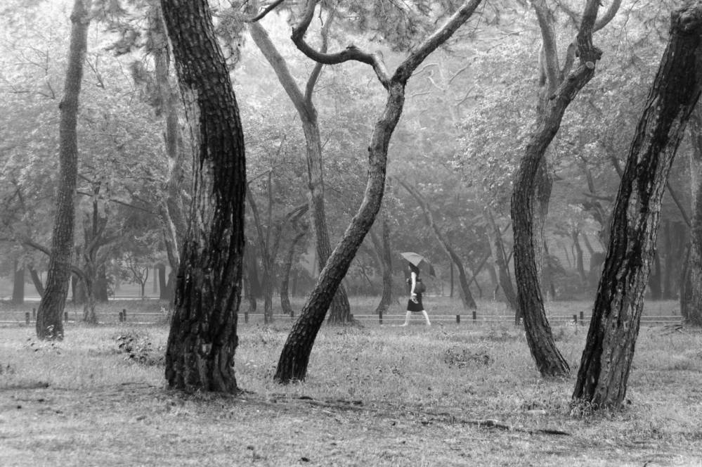 외국인이 촬영한 한국 풍경 | 인스티즈